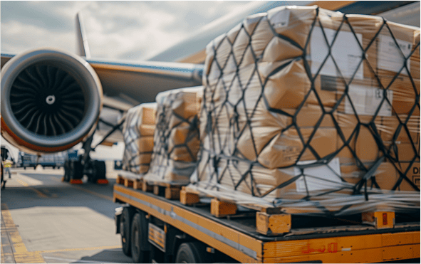 Imagen de varios pallets de paquetes